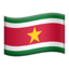 🇸🇷